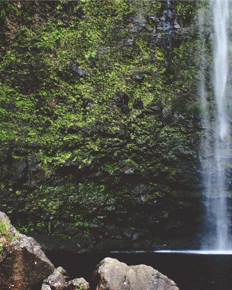 Blush A-line dress full view