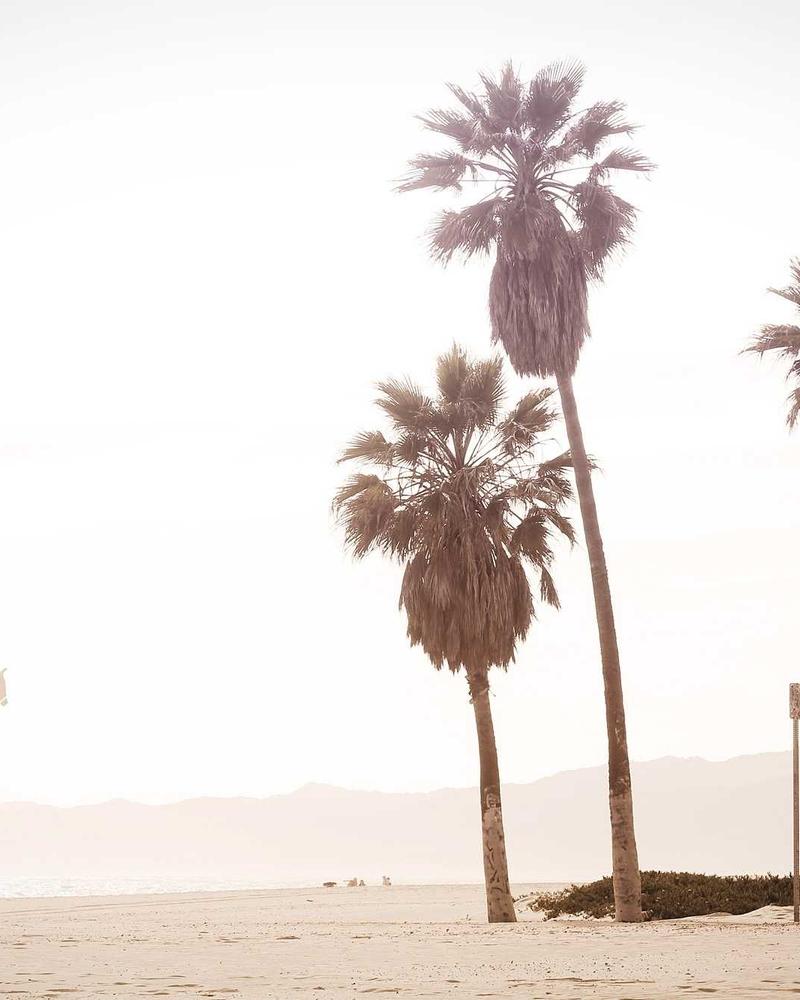 Charcoal Pencil Skirt Suit