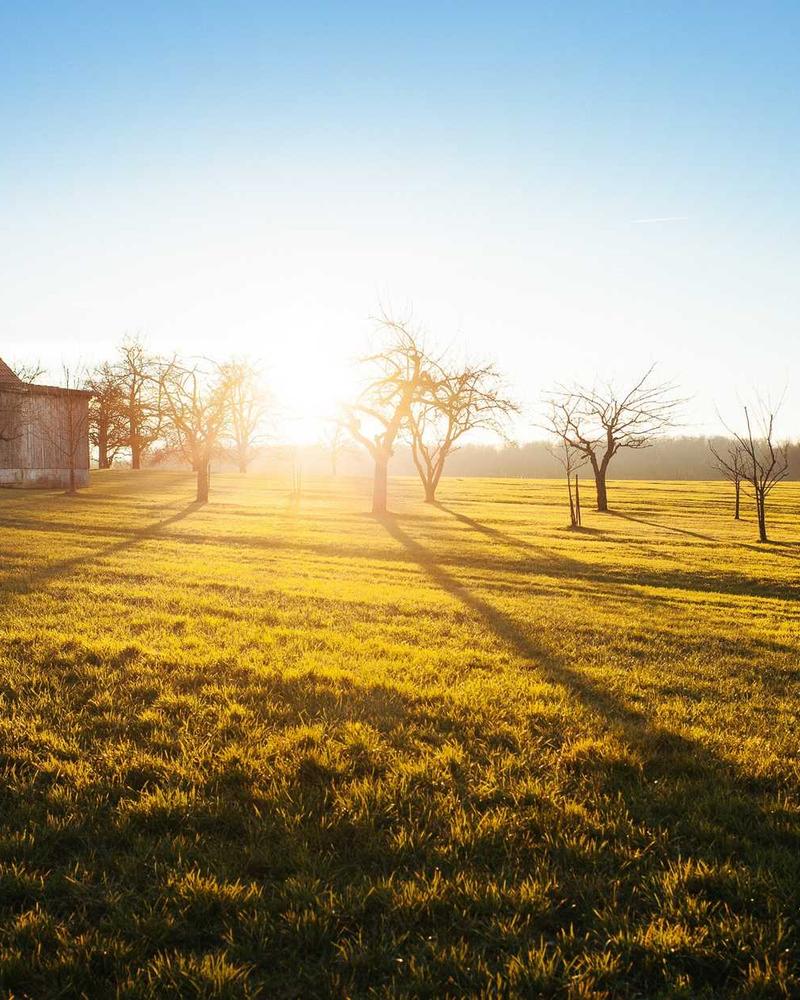Floral Tutu Party Dress