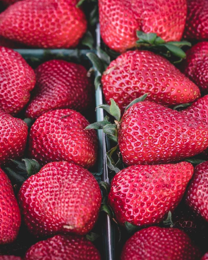 Midnight Black Gala Gown