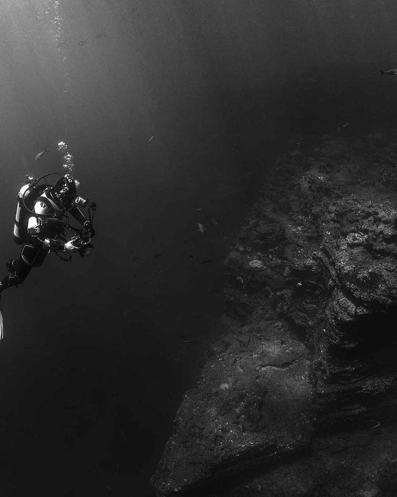 Detail of crystal embellishments