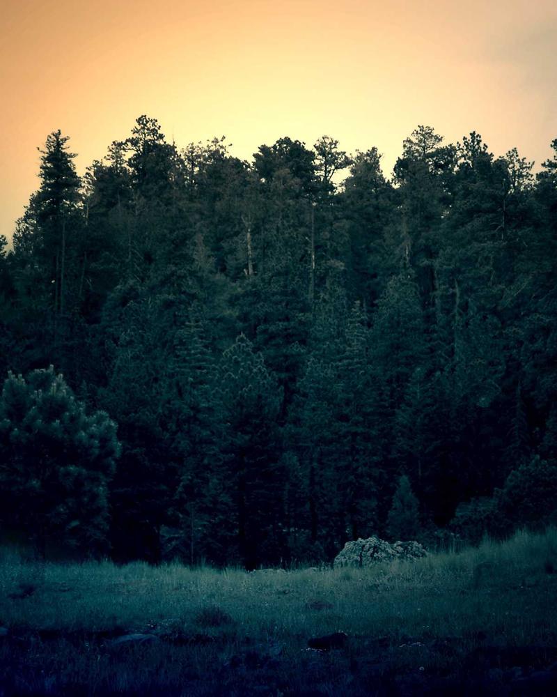 Navy Slim-Fit Tuxedo